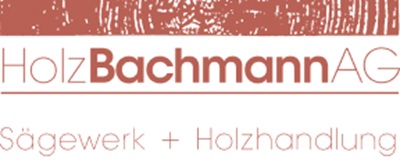  Holz Bachmann AG 